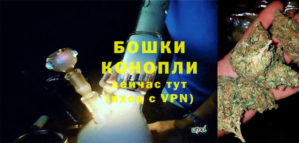PSILOCYBIN Алексин