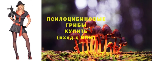 ГАЛЛЮЦИНОГЕННЫЕ ГРИБЫ Алексеевка