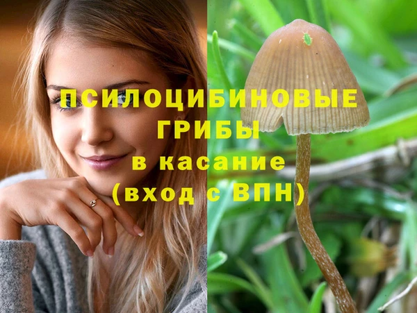 бутират Абинск