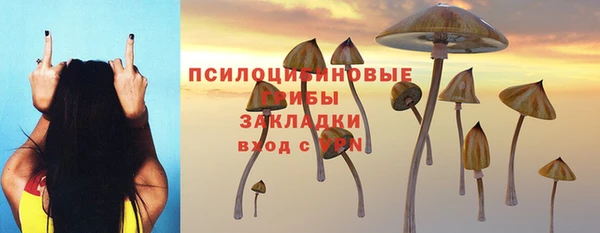 ГАЛЛЮЦИНОГЕННЫЕ ГРИБЫ Алексеевка