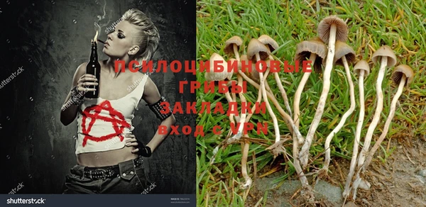 кокаин Алзамай